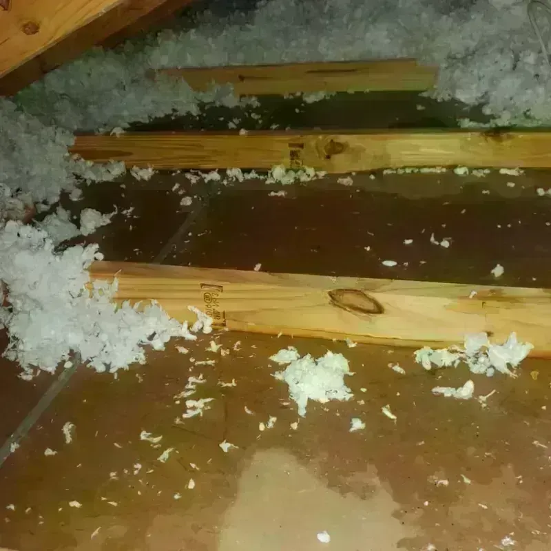 Attic Water Damage in Thompsonville, CT